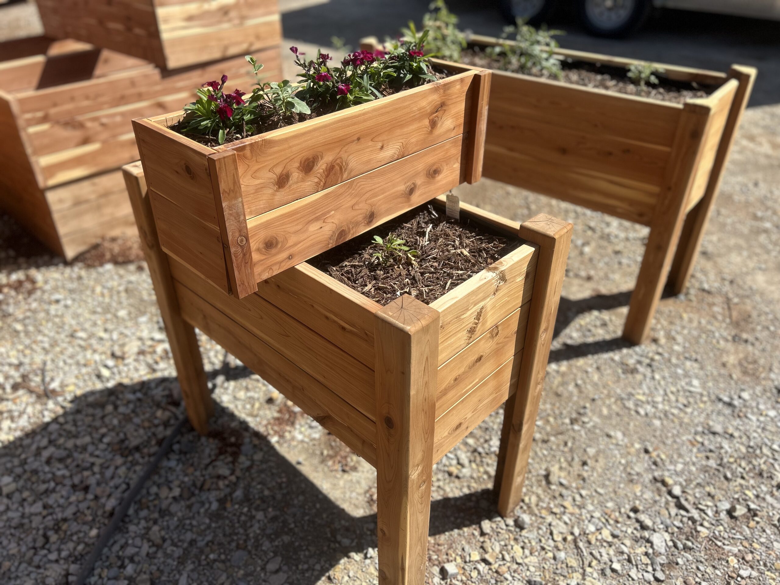 Garden Beds, Planters, & Kits