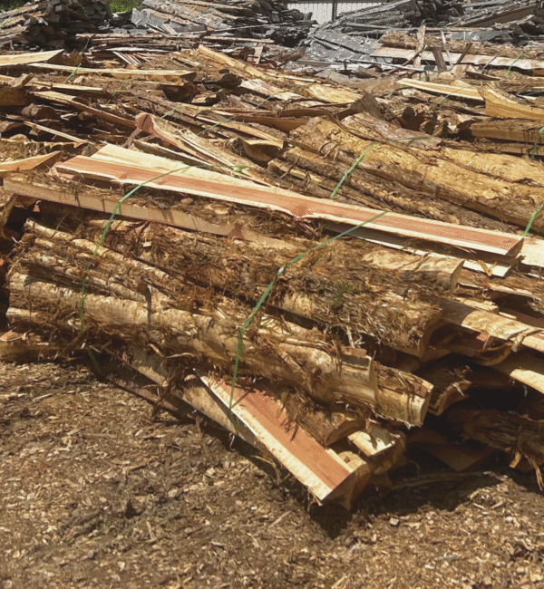 Mulch, Shavings, and First Cuts