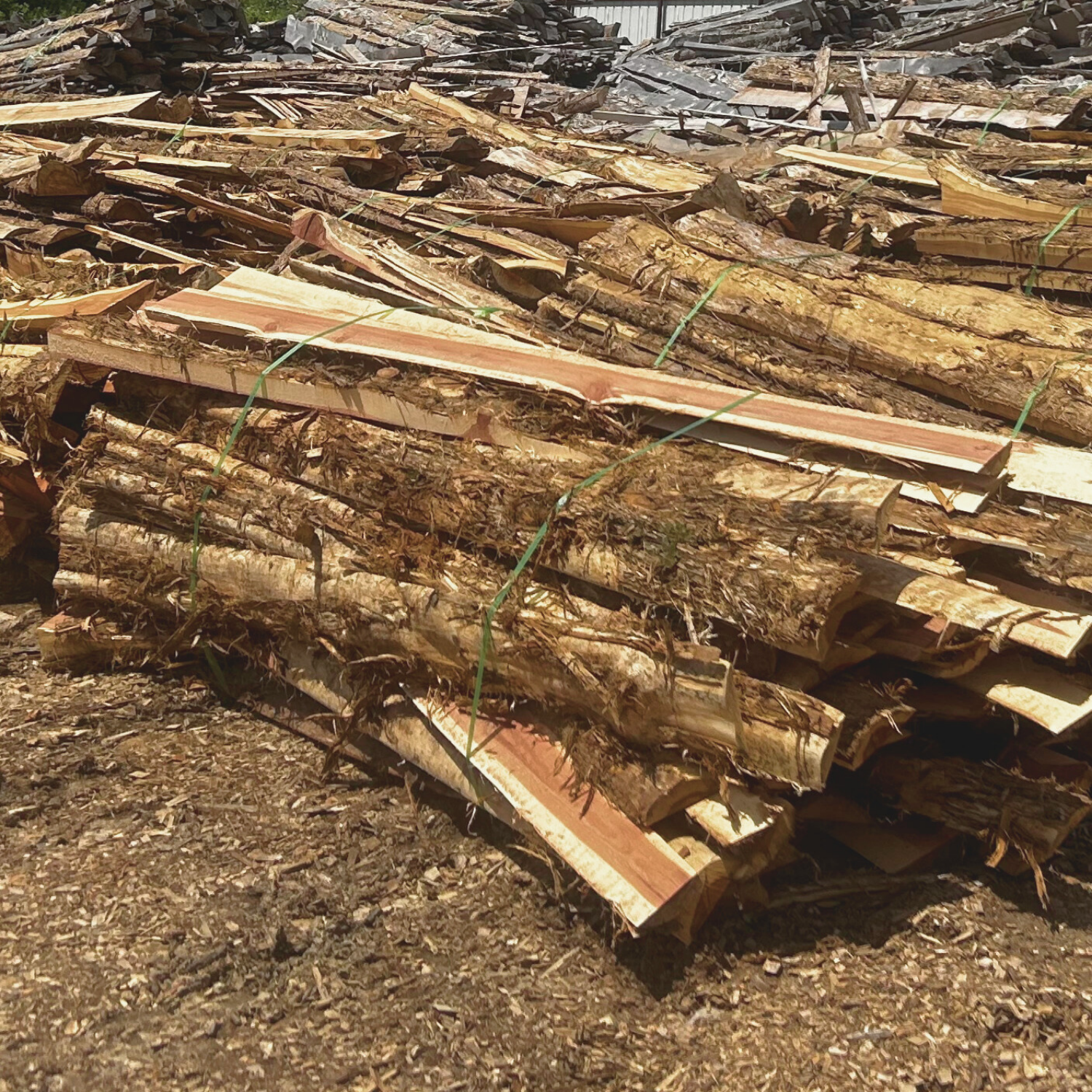 Mulch, Shavings, and First Cuts